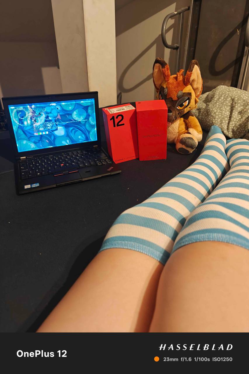 OnePlus 10 Pro and 12 box and his Rex Plush and thigh highs